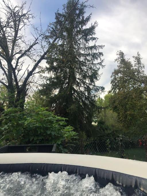 Charmant Gite En Perigord Vert Douchapt Extérieur photo